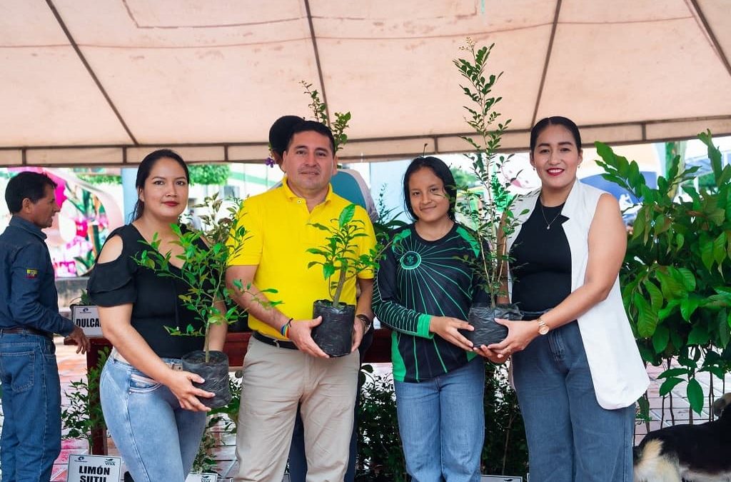 💚♻️ 𝗧𝗥𝗨𝗘𝗤𝗨𝗘 𝗩𝗘𝗥𝗗𝗘
