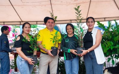 💚♻️ 𝗧𝗥𝗨𝗘𝗤𝗨𝗘 𝗩𝗘𝗥𝗗𝗘