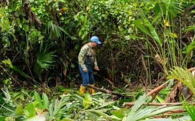 🤝🌿 𝐔𝐧𝐚 𝐚𝐝𝐦𝐢𝐧𝐢𝐬𝐭𝐫𝐚𝐜𝐢𝐨́𝐧 𝐪𝐮𝐞 𝐜𝐚𝐦𝐢𝐧𝐚 𝐣𝐮𝐧𝐭𝐨 𝐚 𝐬𝐮 𝐠𝐞𝐧𝐭𝐞